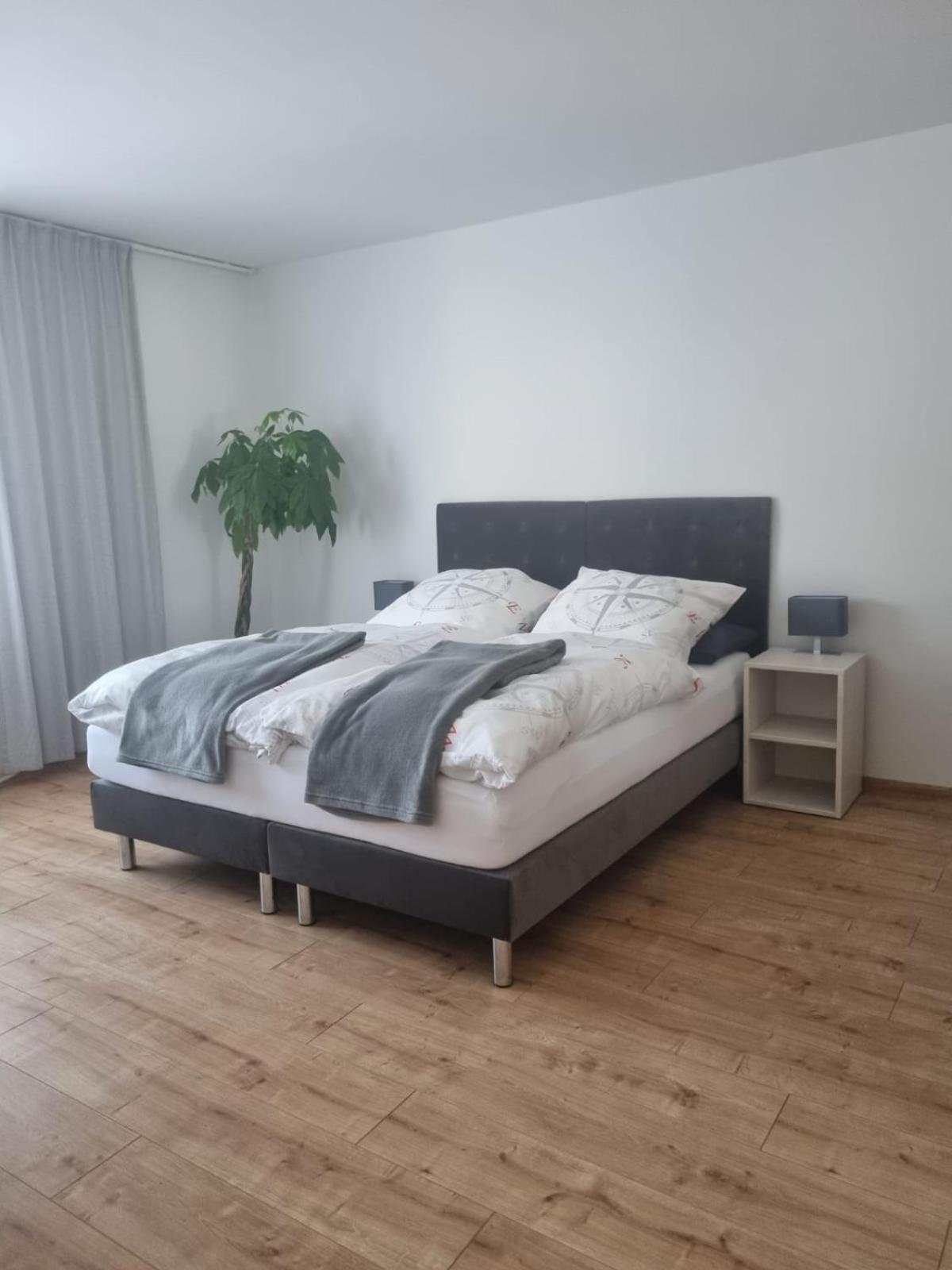Gaestehaus Windrose Fichtelberg Zewnętrze zdjęcie